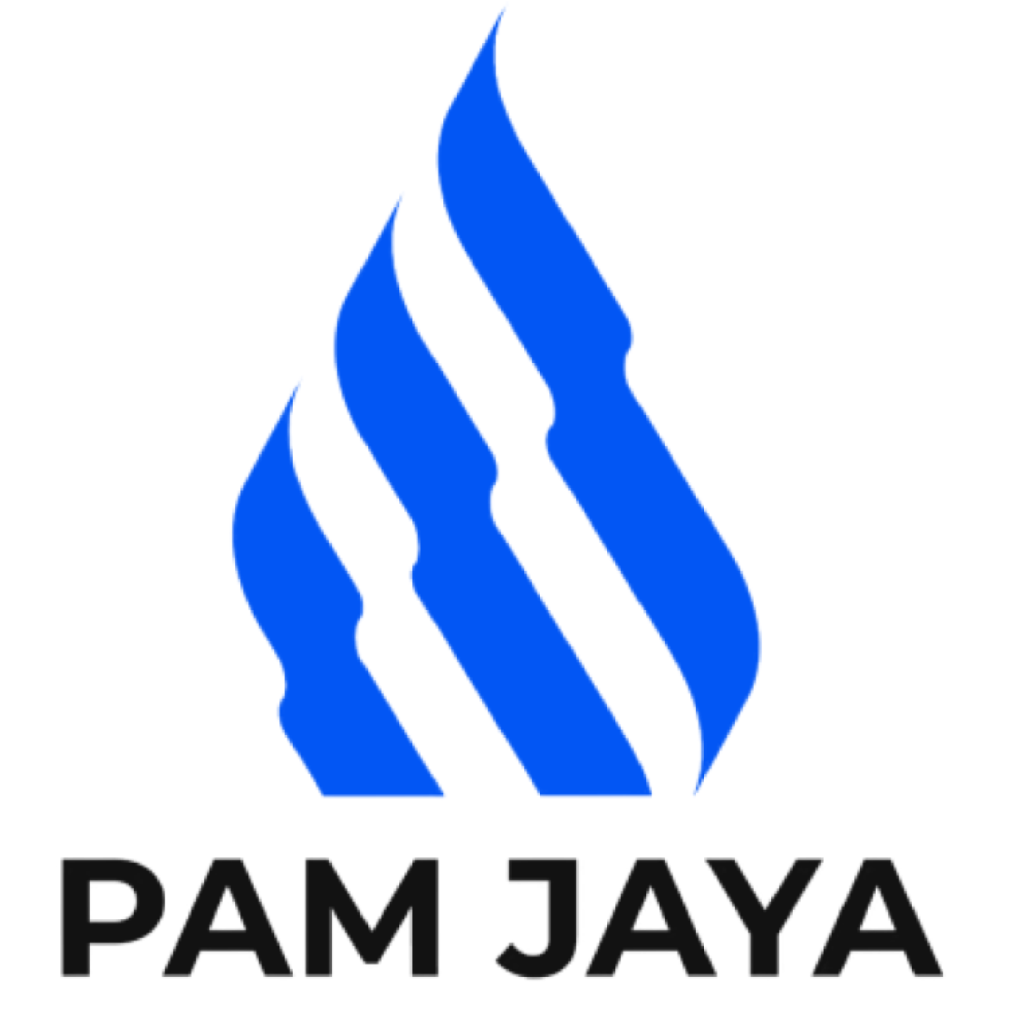 PAM JAYA